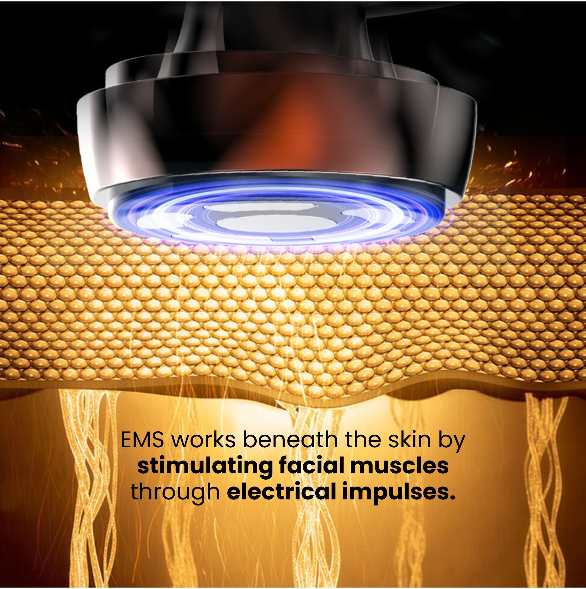 Lift & Repair System